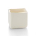 GAR 5308 Small Square Plant